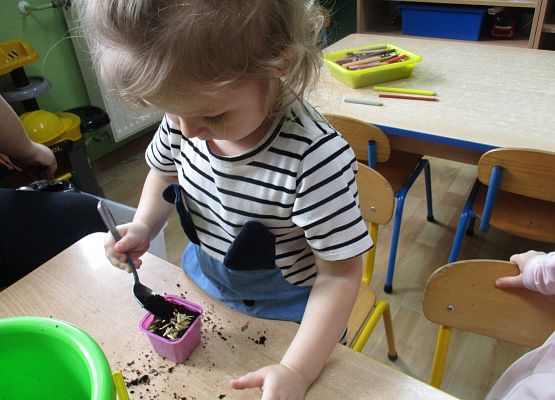 Grafika 106: Galeria Przedszkolaka