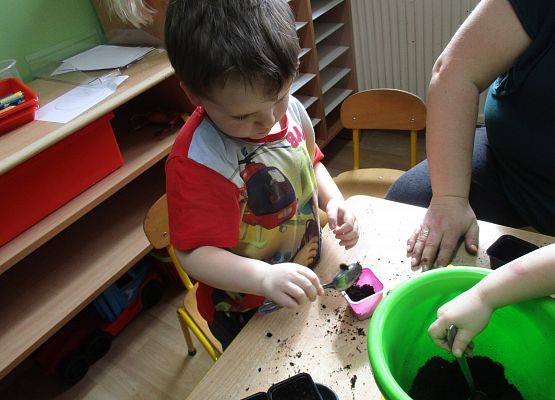 Grafika 54: Galeria Przedszkolaka