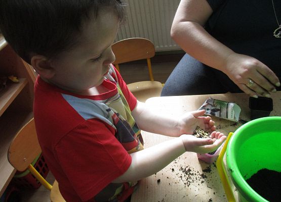 Grafika 55: Galeria Przedszkolaka