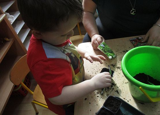 Grafika 56: Galeria Przedszkolaka