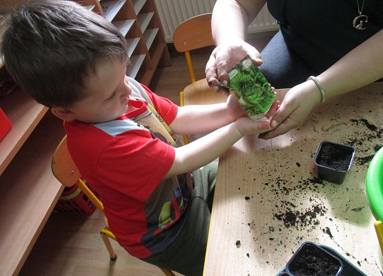 Grafika 57: Galeria Przedszkolaka