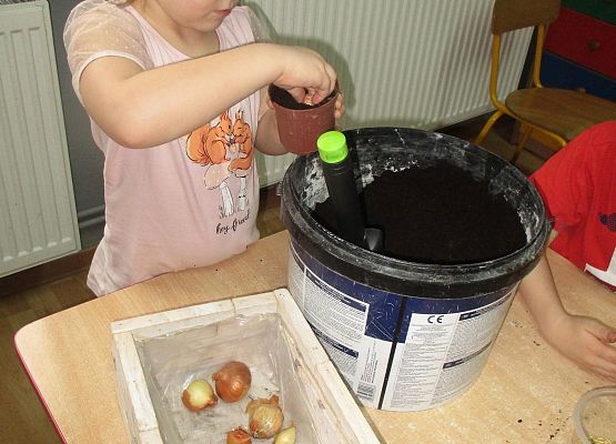 Grafika 150: Galeria Przedszkolaka