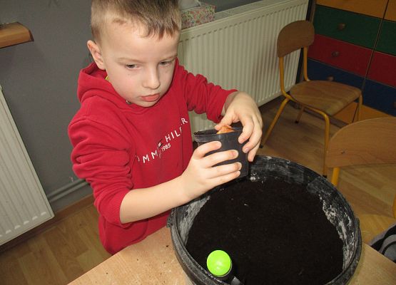 Grafika 148: Galeria Przedszkolaka