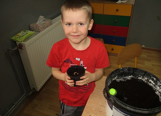 Grafika 152: Galeria Przedszkolaka