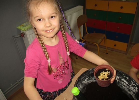 Grafika 155: Galeria Przedszkolaka