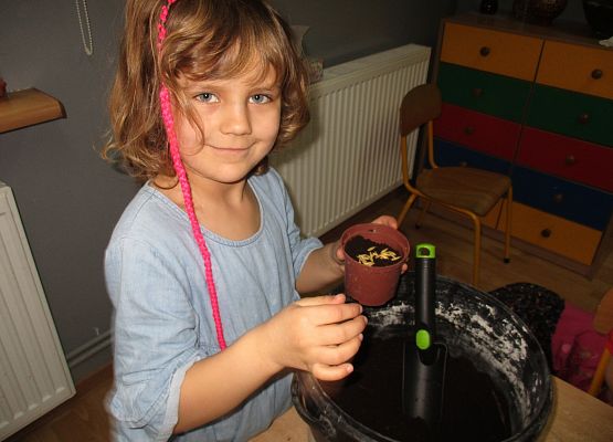 Grafika 157: Galeria Przedszkolaka