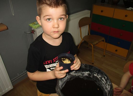 Grafika 159: Galeria Przedszkolaka