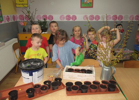 Grafika 162: Galeria Przedszkolaka