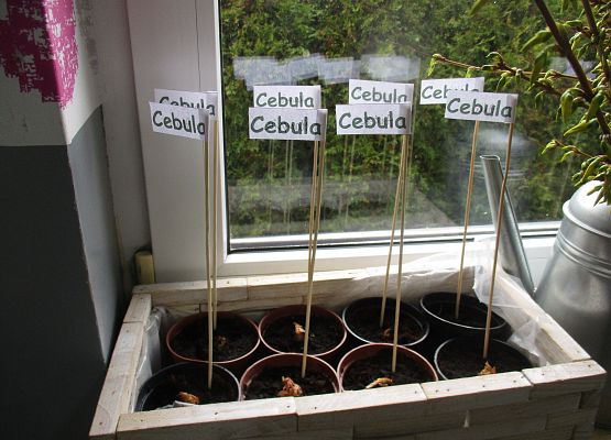 Grafika 164: Galeria Przedszkolaka