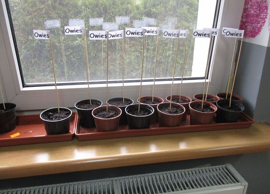 Grafika 165: Galeria Przedszkolaka