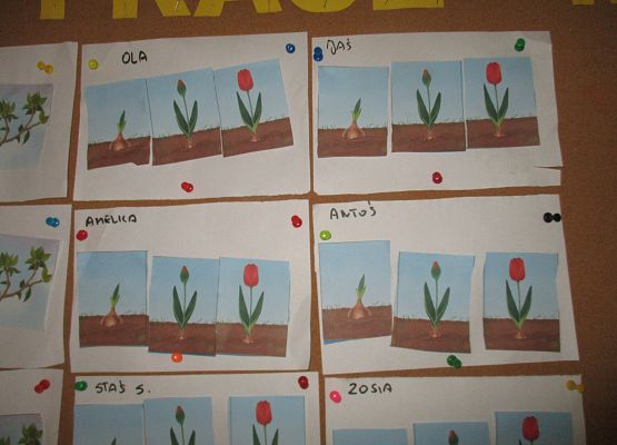 Grafika 33: Galeria Przedszkolaka