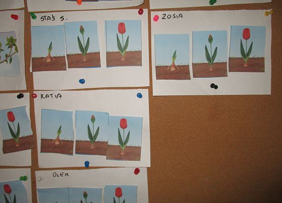 Grafika 35: Galeria Przedszkolaka