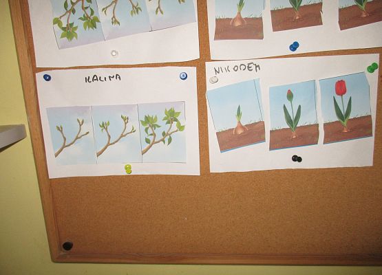 Grafika 32: Galeria Przedszkolaka