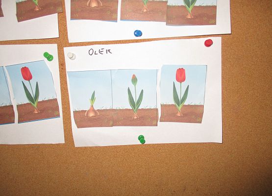 Grafika 36: Galeria Przedszkolaka