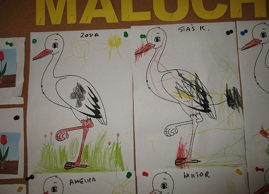 Grafika 43: Galeria Przedszkolaka