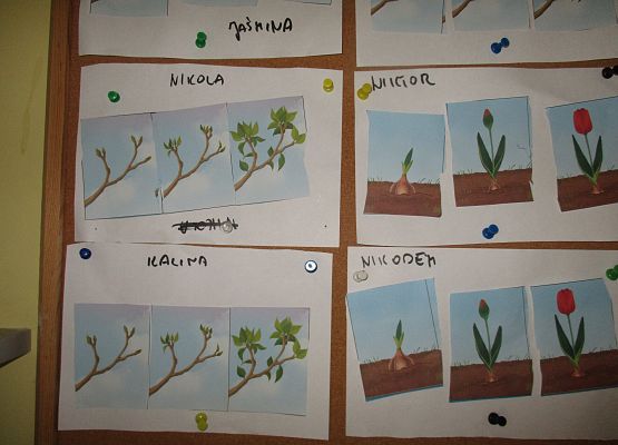 Grafika 34: Galeria Przedszkolaka