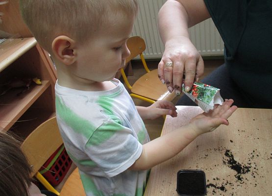 Grafika 83: Galeria Przedszkolaka