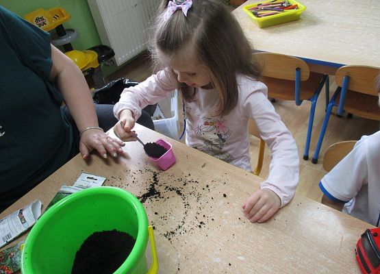 Grafika 89: Galeria Przedszkolaka