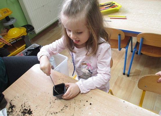 Grafika 91: Galeria Przedszkolaka