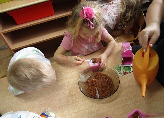 Grafika 117: Galeria Przedszkolaka