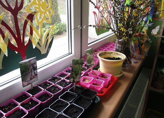 Grafika 110: Galeria Przedszkolaka