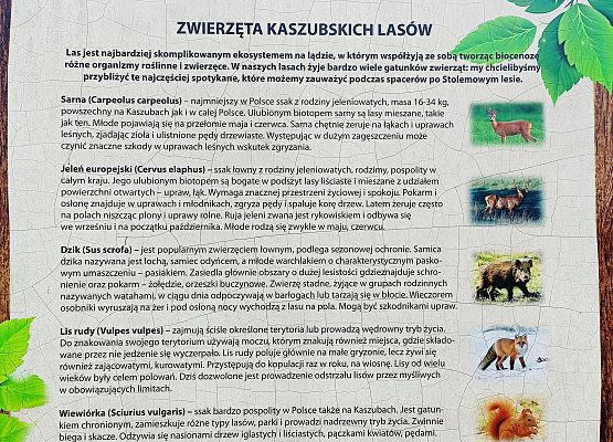 Grafika 9: Wycieczka klasy 8b