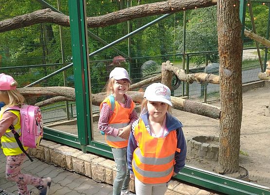 Wycieczka do Zoo