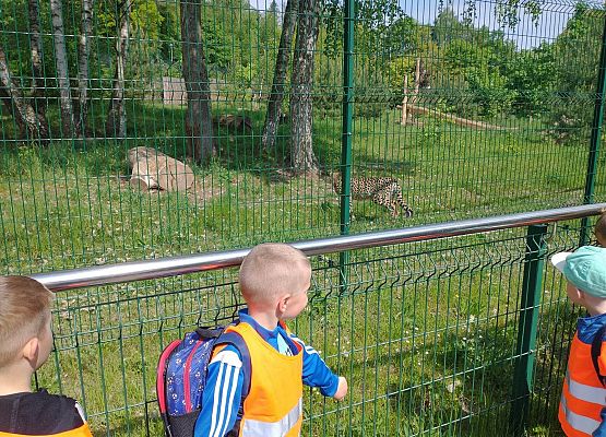 Wycieczka do Zoo
