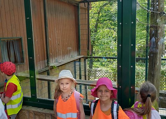 Wycieczka do Zoo