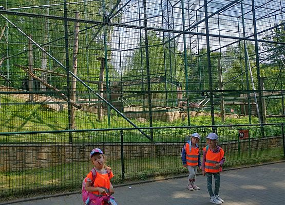 Wycieczka do Zoo