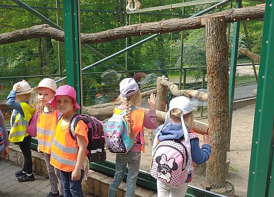 Wycieczka do Zoo