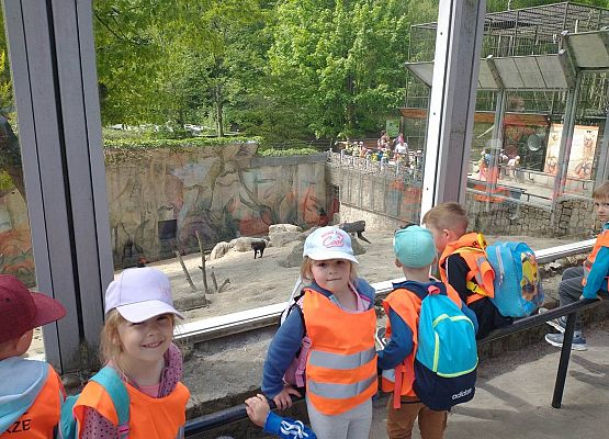Wycieczka do Zoo