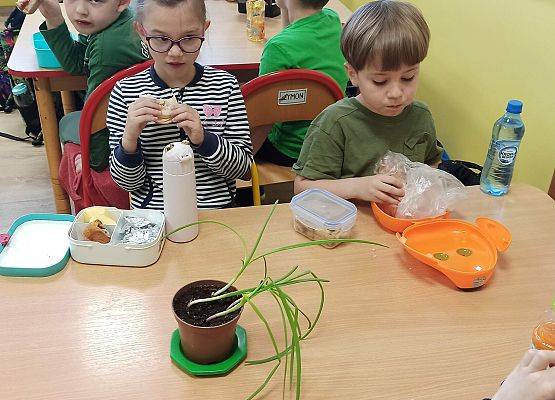 Grafika 1: Skąd się biorą produkty ekologiczne - aktualizacja