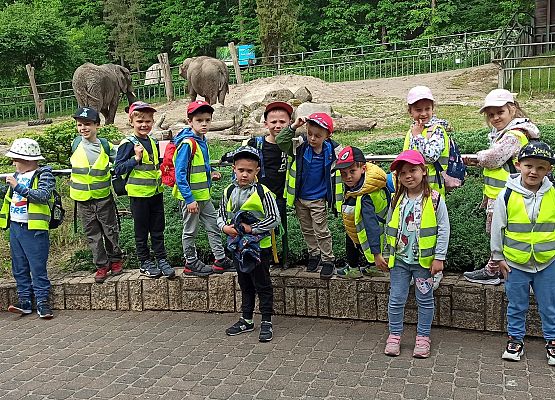 Grafika 1: Wycieczka do Zoo