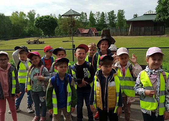 Grafika 3: Wycieczka do Zoo