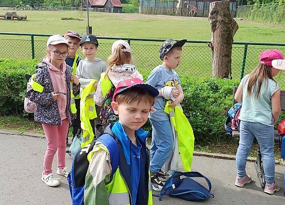 Grafika 4: Wycieczka do Zoo