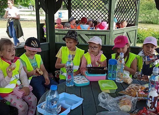 Grafika 8: Wycieczka do Zoo