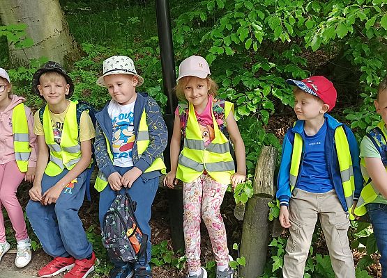 Grafika 13: Wycieczka do Zoo