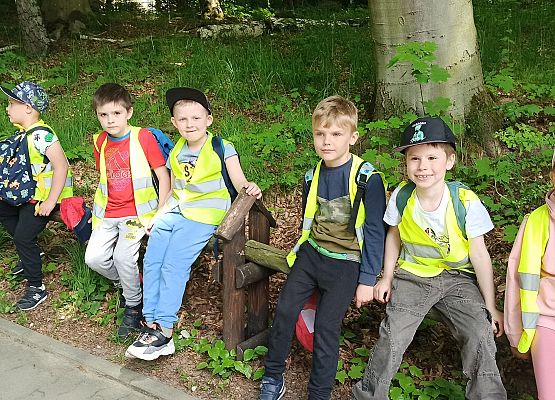 Grafika 14: Wycieczka do Zoo