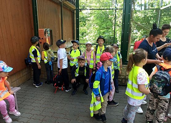 Grafika 17: Wycieczka do Zoo