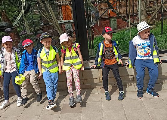 Grafika 21: Wycieczka do Zoo