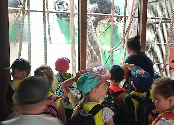 Grafika 22: Wycieczka do Zoo