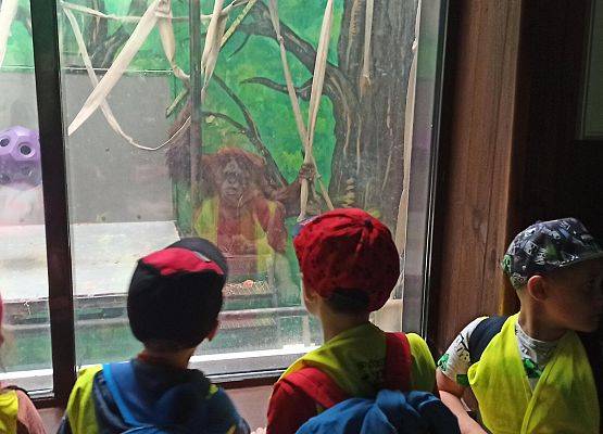 Grafika 24: Wycieczka do Zoo