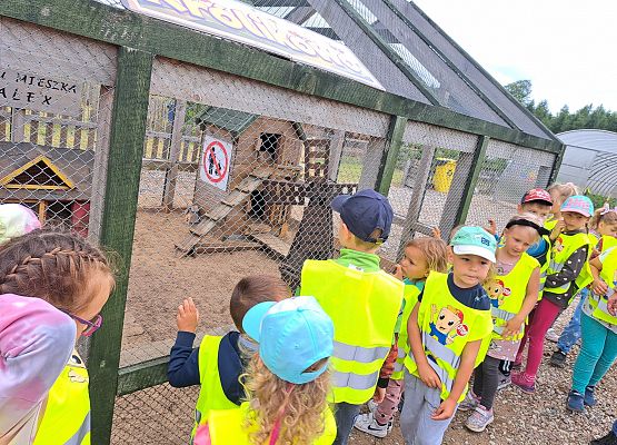 Grafika 18: Wycieczka do Parku Rozrywki - Farma Alexa