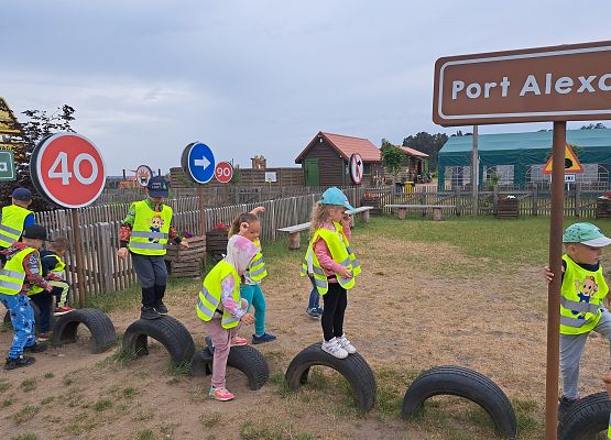 Grafika 4: Wycieczka do Parku Rozrywki - Farma Alexa