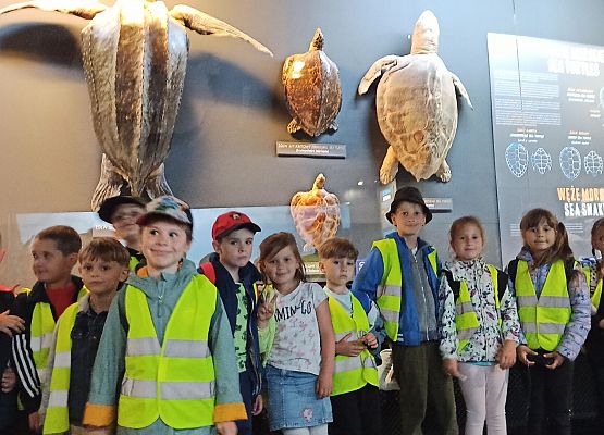 Grafika 1: Wycieczka do Akwarium Gdyńskiego