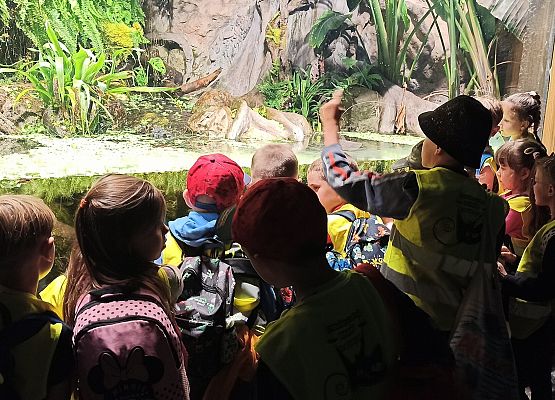 Grafika 3: Wycieczka do Akwarium Gdyńskiego