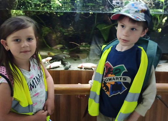 Grafika 5: Wycieczka do Akwarium Gdyńskiego