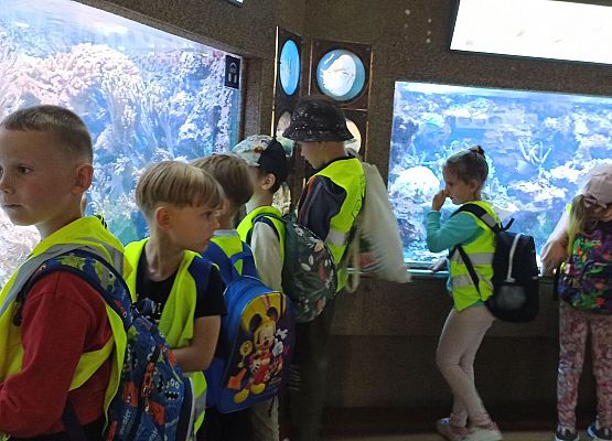 Grafika 10: Wycieczka do Akwarium Gdyńskiego