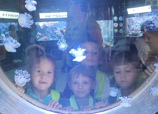 Grafika 11: Wycieczka do Akwarium Gdyńskiego